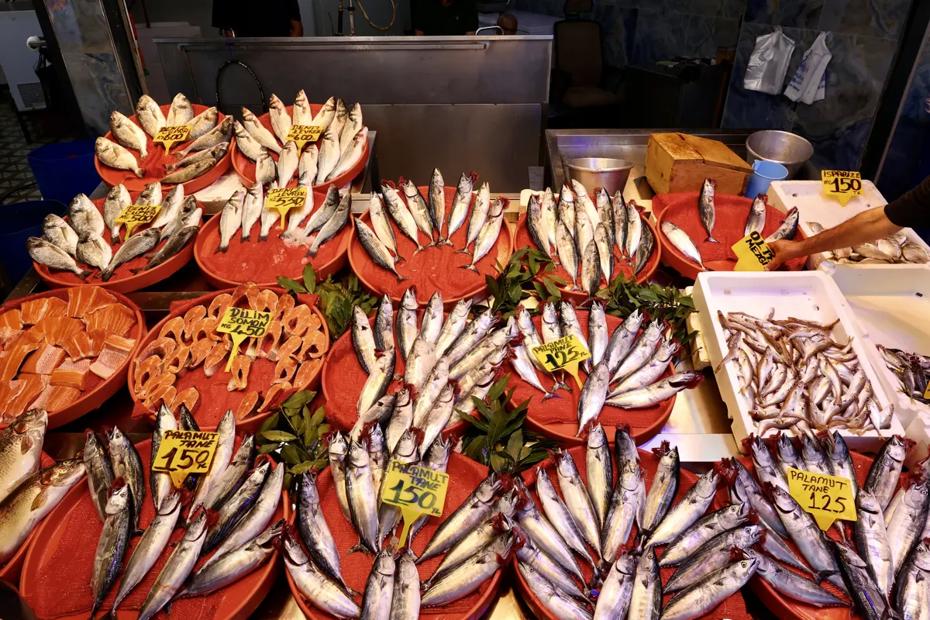 Balık Avı Sezonu Resmen Açıldı: İlk Fiyatlar ve Taze Balık Seçimi Rehberi