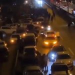 Sakaryaspor'un son heyecanı sokaklara taşmadı