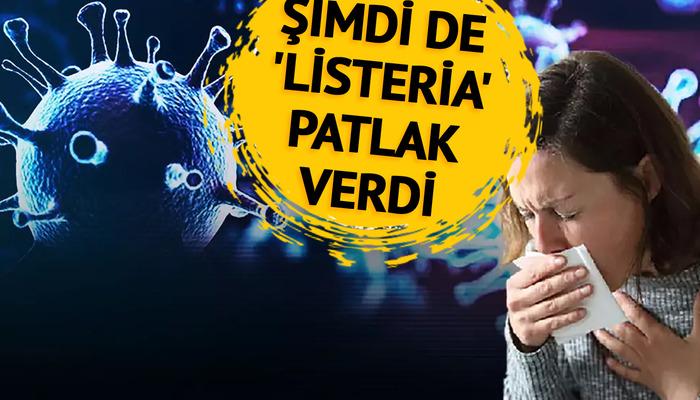 Biz Maymun Çiçeği'nden bahsederken şimdi de Listeria virüsü ortaya çıktı! ABD'de 9 kişi öldü, vaka sayısı artıyor