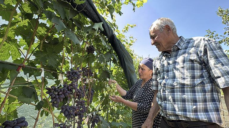 Ukrayna'dan yataklar arasında getirdiler, yiyiciler dua ediyor ve Başkan Erdoğan'a minnettarız