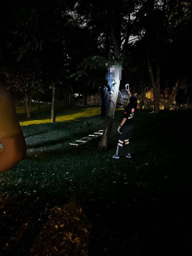 Umeraiye korkunç bir olay! Cansız vücut ağaca asılı bulundu 3